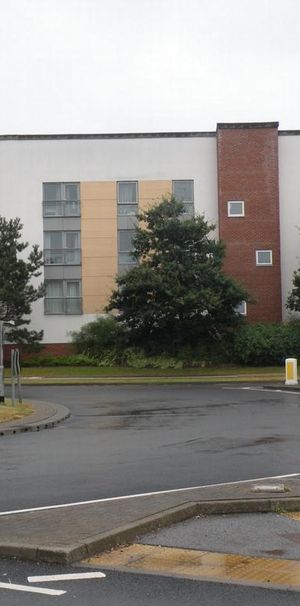 3 bedroom apartment to rent - Photo 1