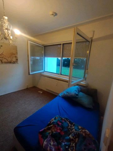 WG Zimmer zu vermieten - Photo 2