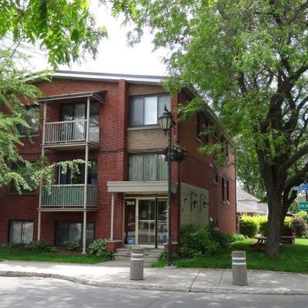 1 1/2 rénové à Dorval près des services - Photo 3