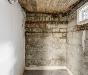 For Lease - 116 Shaftesbury Street Unit# B1-Bsmt, Toronto, Ontario - Photo 5