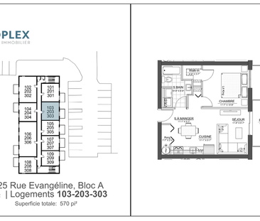 3½ — 203 – 1625 Evangéline - Photo 5