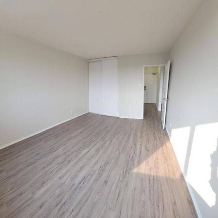 1 CH - 1 SDB - Gatineau - $1,595 /mo - Photo 3