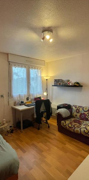 Location Appartement 1 pièce 20m² ANGERS 49000 - Photo 1