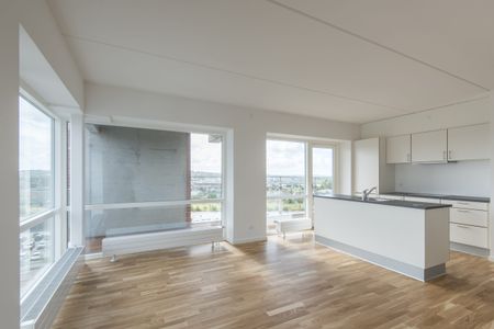 Lys og rummelig lejlighed med unik udsigt i Aalborg - Photo 2