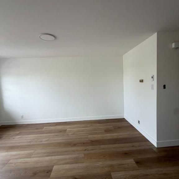 1 CH - 1 SDB - Montréal - $1,250 /mo - Photo 1