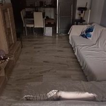 Διαμέρισμα για ενοικίαση - Συκιές, - Photo 1