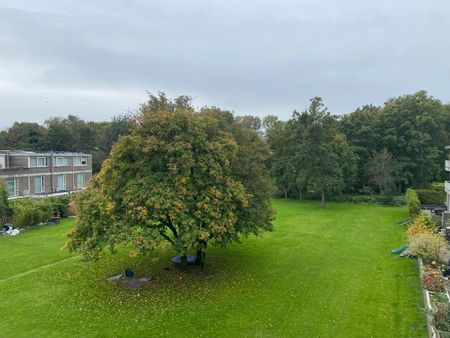 Appartement te huur: Bernard Loderstraat 157 1063 PG Amsterdam - Foto 2