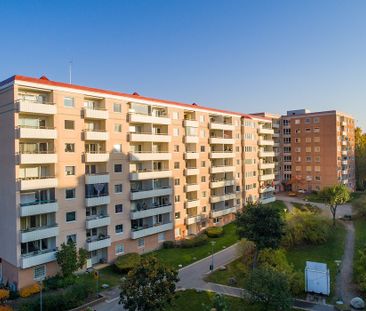 Jungfruns Gata 402, Brandbergen - Photo 1