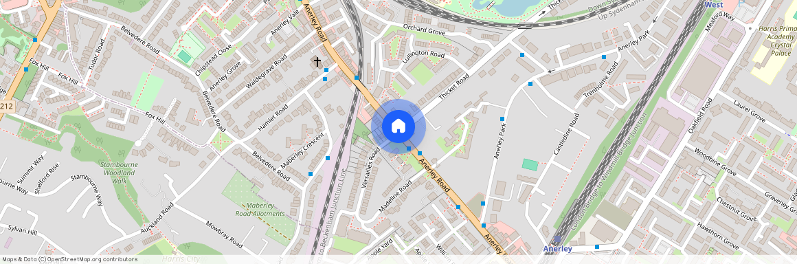 Thicket Road, Anerley, London, SE20