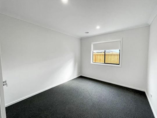 4 Woodcutters Way, Bonshaw - Photo 1