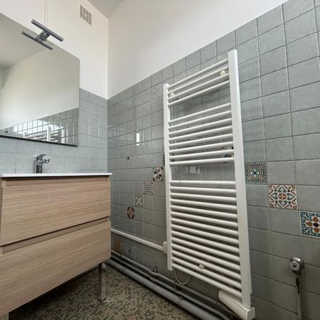 Location Appartement 1 pièce 35m² AIRE SUR L ADOUR 40800 - Photo 3