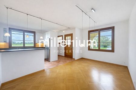 Charming apartment in a bourgeois house in Plan-les-Ouates - Photo 5