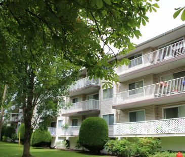 Very Spacious 1,030 Sq. Ft. 2 Bed Apartment For Rent — 119 - Photo 1