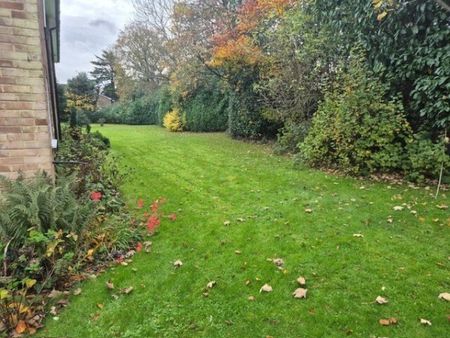 Furrows Place, CR3, Property for rent - Photo 4