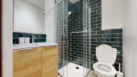 SAHUQUE Colocation 5 chambres à Toulouse - Photo 3