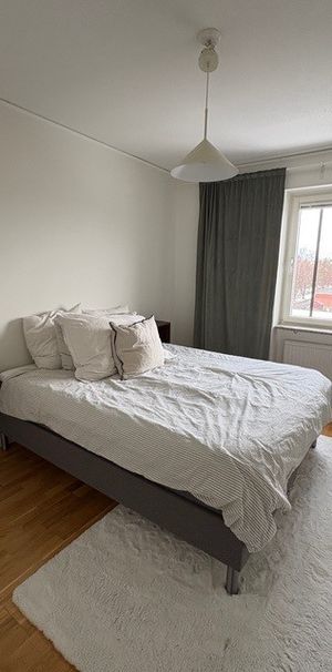 Ekonomstråket, Umeå - Photo 1