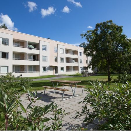 Dirigentvägen, Skellefteå - Photo 3