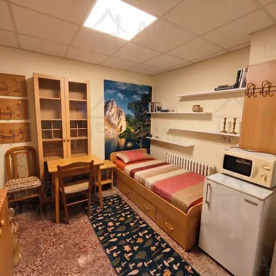 Dlouhodobý pronájem bytu - pokoje 1+kk 16 m, ul. Stejskalova. - Photo 1