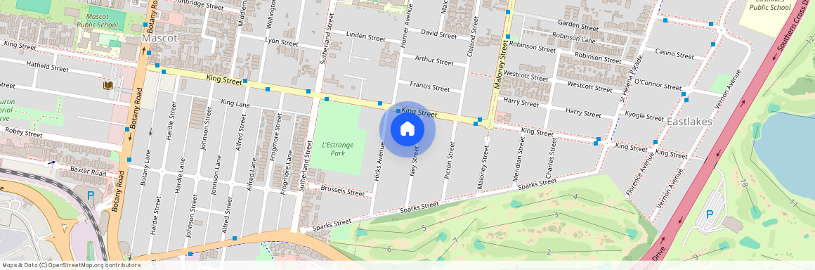 4 Ney Street Mascot, NSW 2020