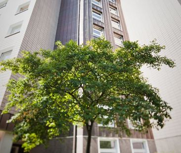 2 Zimmer Erdgeschoss in Elmshorn - Foto 4