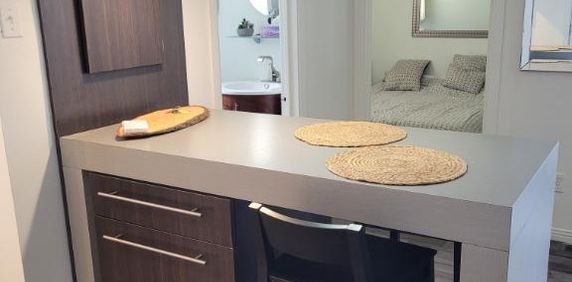 3,5 Beau frais peinturé et meublé de A a Z terrasse sur le toit - Photo 2