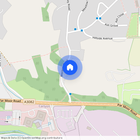 17 Bank View Biscovey Road, Par