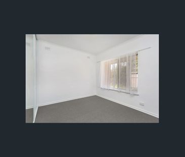 SPACIOUS INTERIOR & LARGE GARDEN WITH SECURE CARPORT - Photo 4