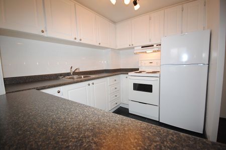 335 MacLaren Street, Centretown, Ottawa, ON - Photo 4