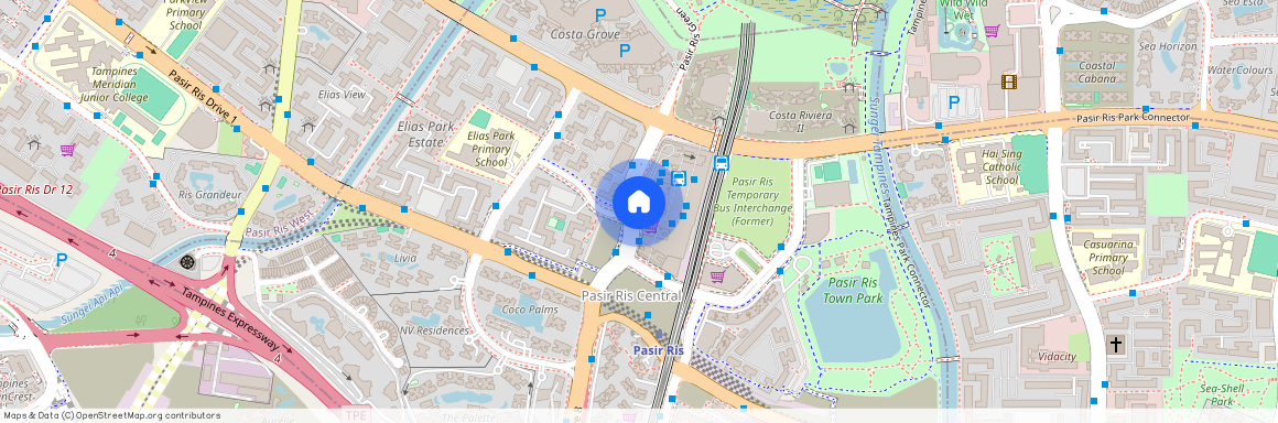12 Pasir Ris Drive 8 (519469), Singapore