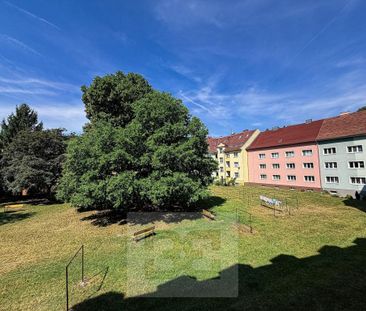 Pronájem bytu 2+1 50 m2 - Photo 6