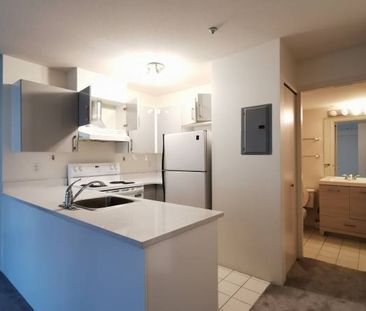 1 bedroom + 1 bathroom (2nd-Floor @8650 Hudson Street) - Photo 2