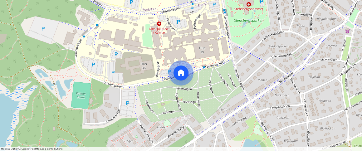 Lasarettsvägen, Kalmar