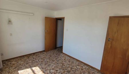 Hey hey its Albert! - Photo 4