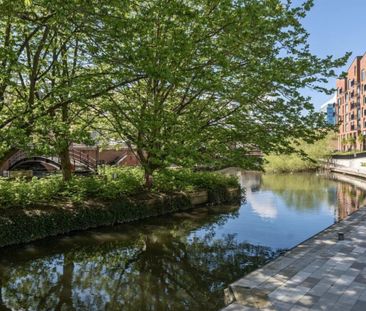 Room in a Shared Flat, Carraway Street, RG1 - Photo 6