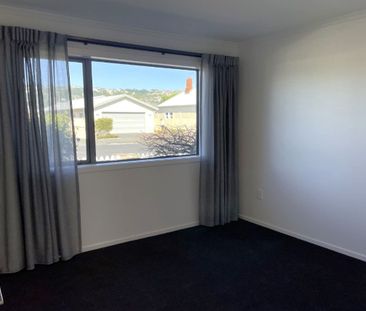 17A Plunket Street, Saint Kilda, Dunedin - Photo 1