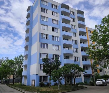 Pronájem bytu 3+1 66 m², Jírovcova 2117, České Budějovice - Photo 6