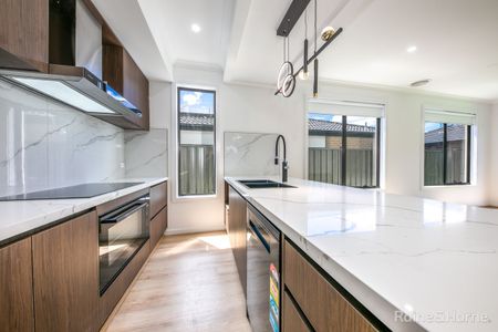 Brand New Luxury Living - Photo 4