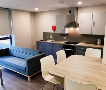 Ensuite Silver - Accessible - Photo 6