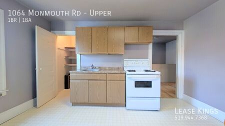 Spacious 1 Bed 1 Bathroom Upper in the Heart of Walkerville - Photo 5