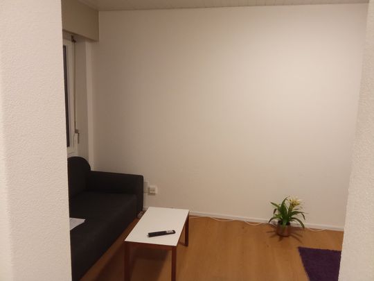 1½ ZI-WOHNUNG IN LUZERN, MÖBLIERT, TEMPORÄR - Foto 1