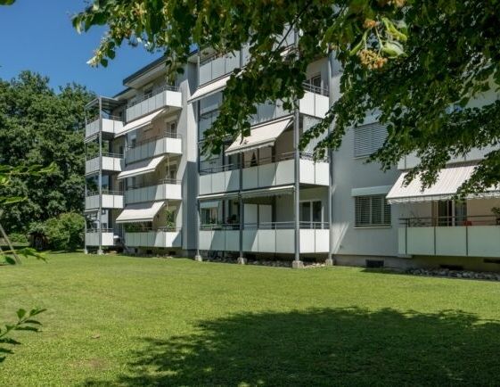 Sunny apartment in Muttenz - Photo 1