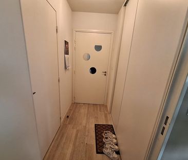 Appartement 1 pièce – 26 m² environ à Plescop (ref : 00262) - Photo 5