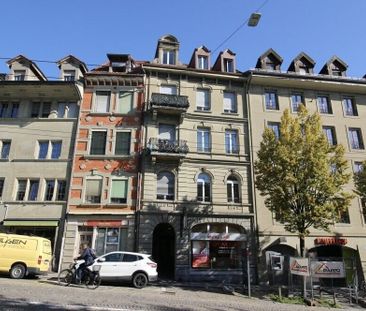 Schönes Studio, gegenüber der Misericordia Universität - Photo 3