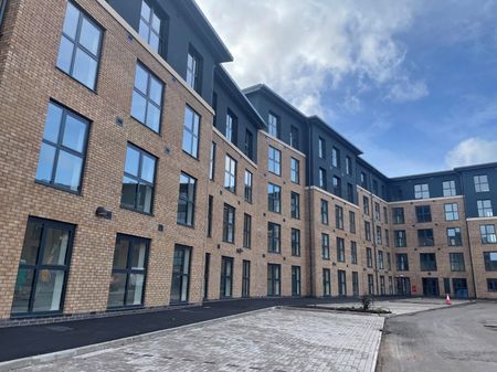 Erasmus Drive - Photo 3