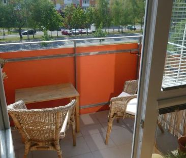 Pronájem prostorného bytu 1+kk/balkón - novostavba HK, Třebeš - Fotografie 5