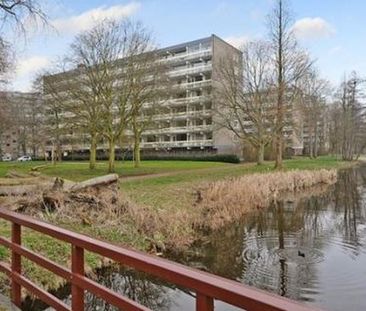 Isabellaland 2591 RX 's-Gravenhage - Photo 6