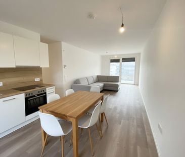 Wohnen ohne Kompromisse: Mietwohnungen im Herzen des Tullnerfelds - Foto 1