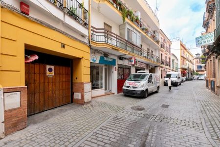 Calle Rodrigo de Triana, Seville, Andalusia 41010 - Photo 5