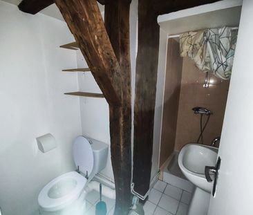 Location Appartement 1 pièce 16m² TOURS 37000 - Photo 2