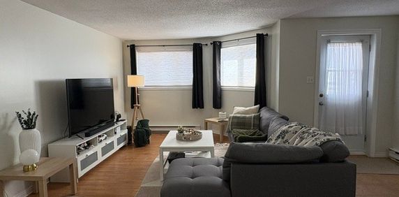 4 1/2 Gatineau - Grand Demi Sous-sol - Photo 2